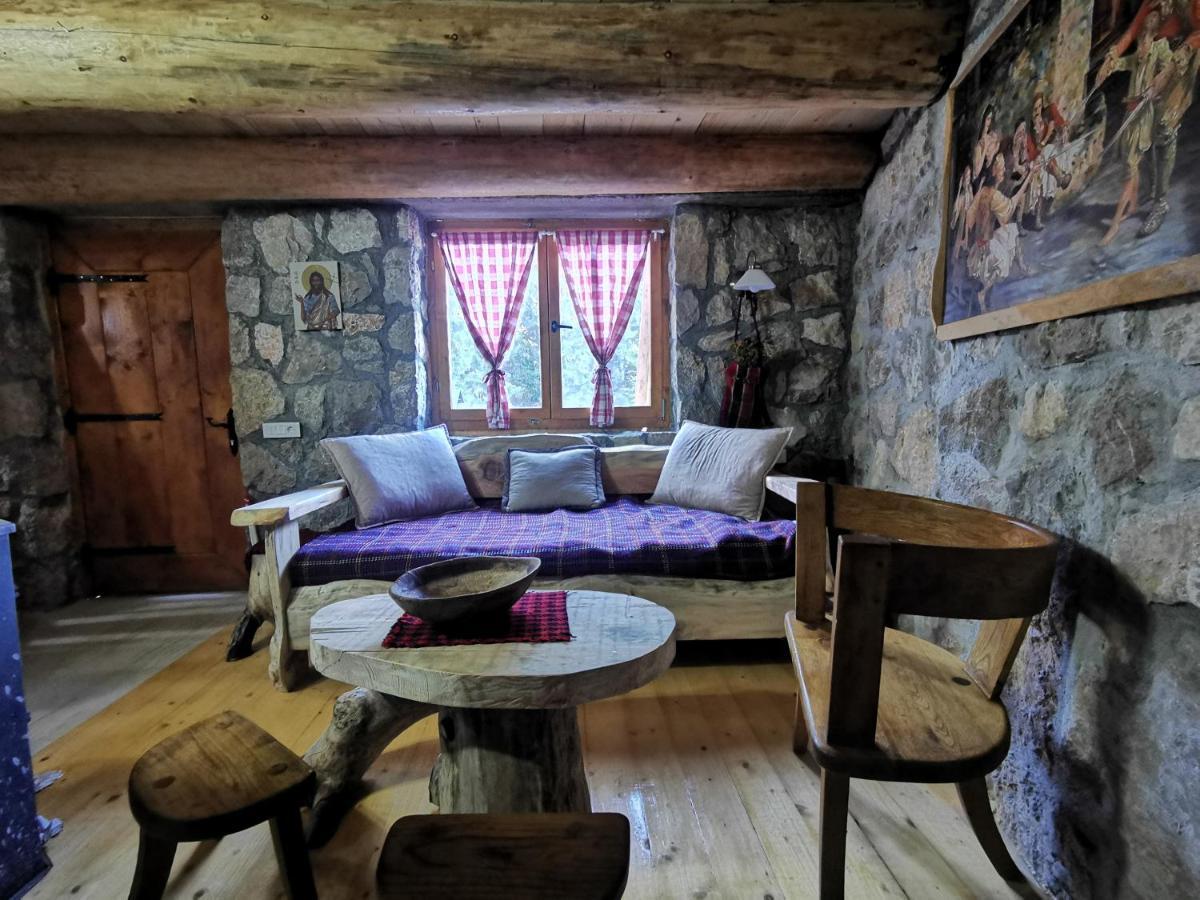 Guesthouse Planinarski Dom Neviden'O 자블야크 외부 사진