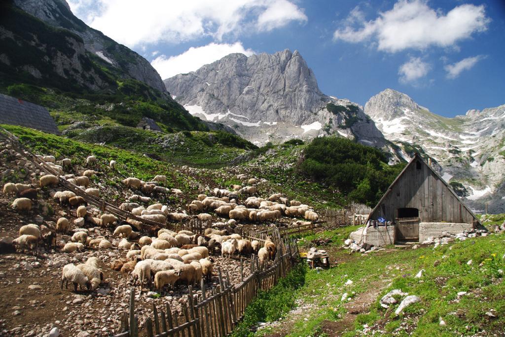 Guesthouse Planinarski Dom Neviden'O 자블야크 외부 사진