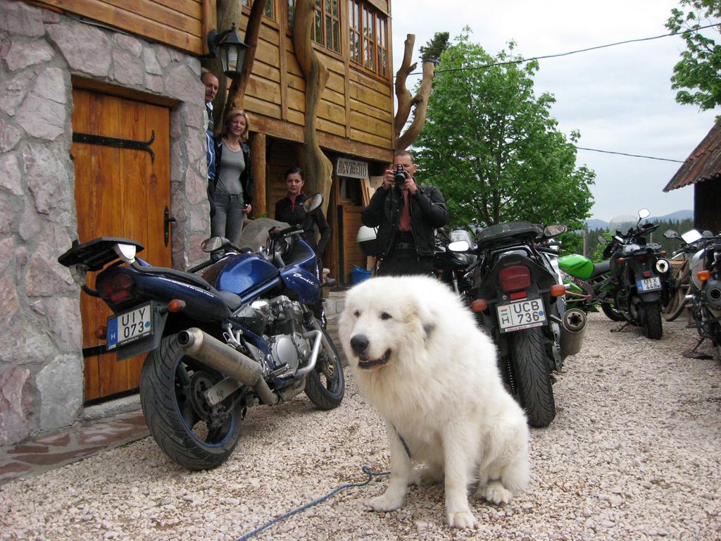 Guesthouse Planinarski Dom Neviden'O 자블야크 외부 사진