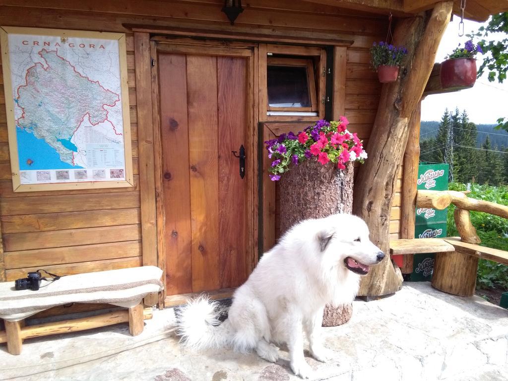 Guesthouse Planinarski Dom Neviden'O 자블야크 외부 사진